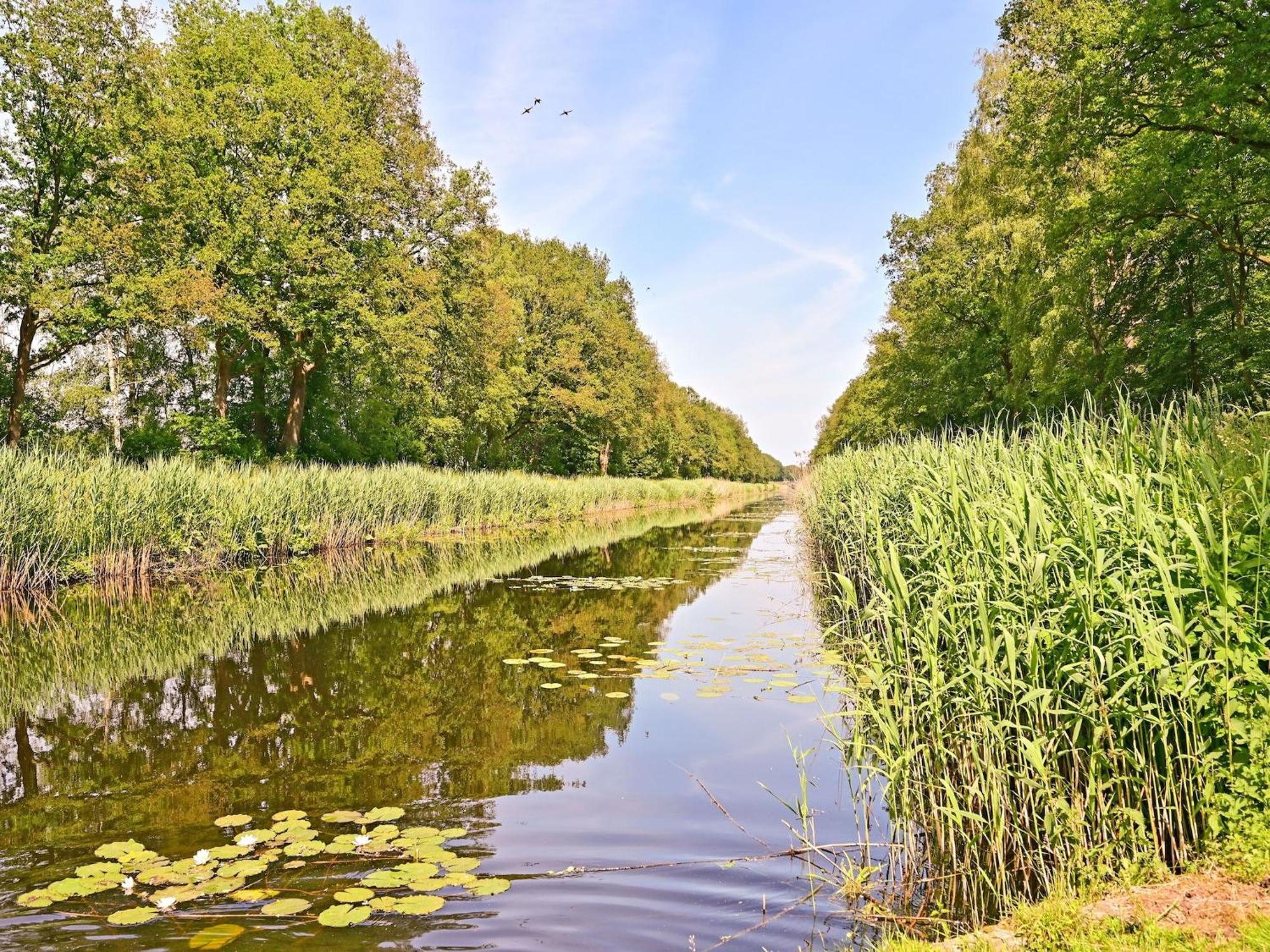 Chalet With Gorgeous View Of The Natural Surroundings Weerselo Exteriör bild