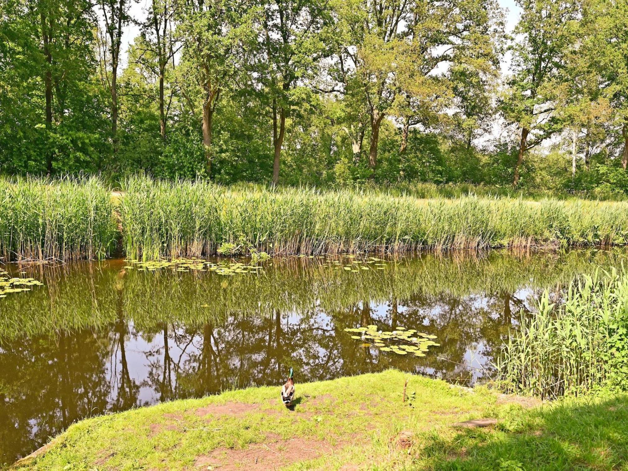 Chalet With Gorgeous View Of The Natural Surroundings Weerselo Exteriör bild