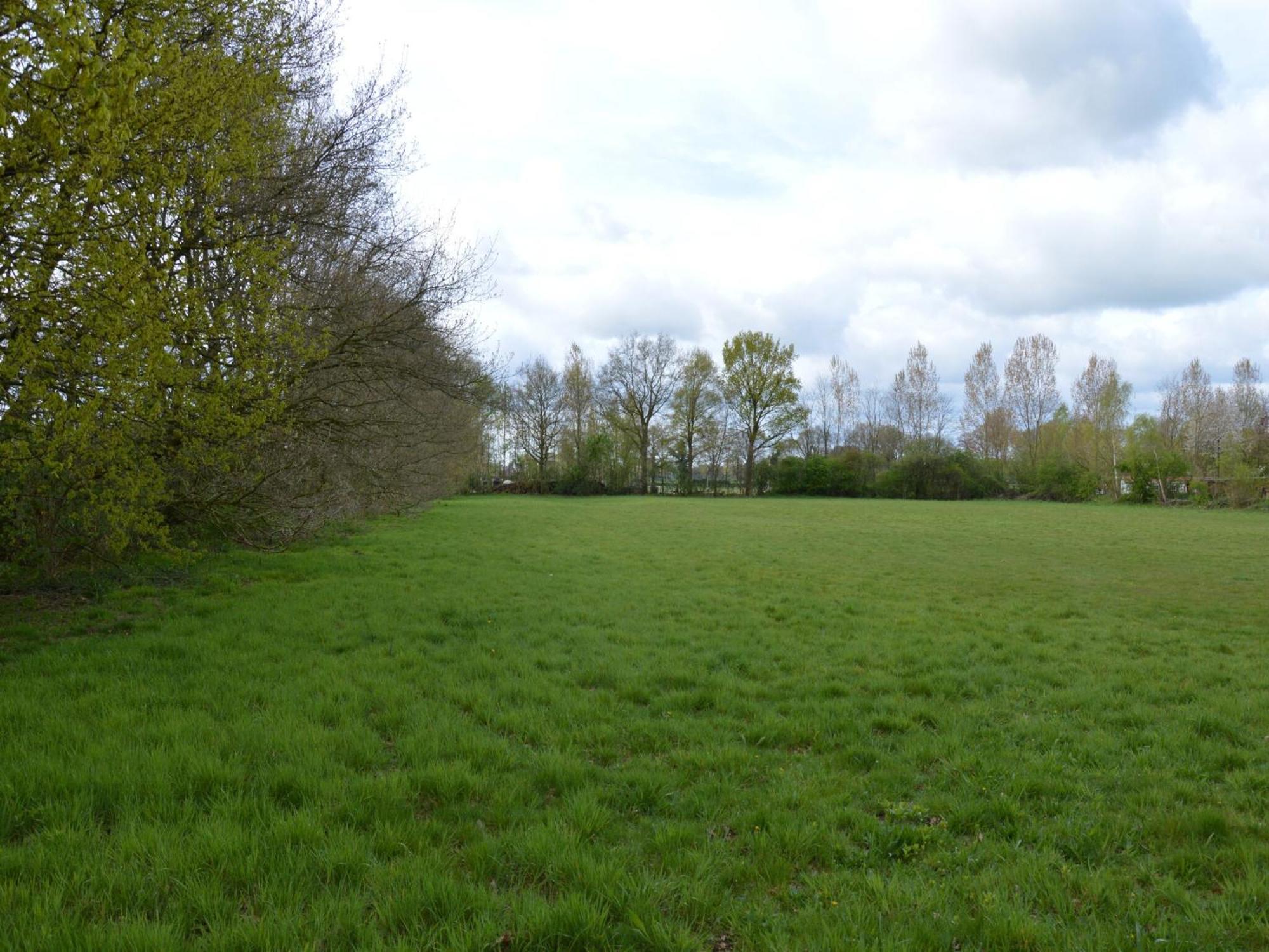 Chalet With Gorgeous View Of The Natural Surroundings Weerselo Exteriör bild